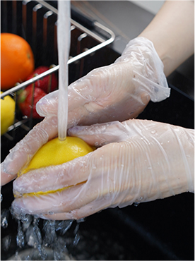 cheap food service gloves